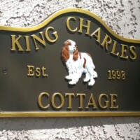 LP 16 mounted on wall